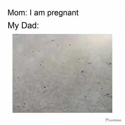 Yes. My dad is a crab because everything evolves into a crab!!