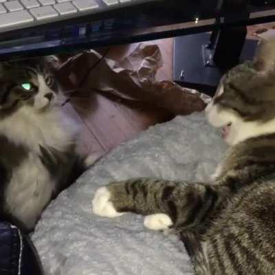 Oh good, you're awake