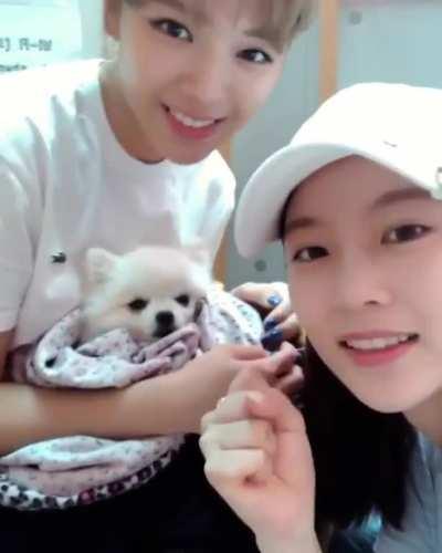 Jeongyeon & Seungyeon