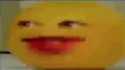 When the shell is of what was