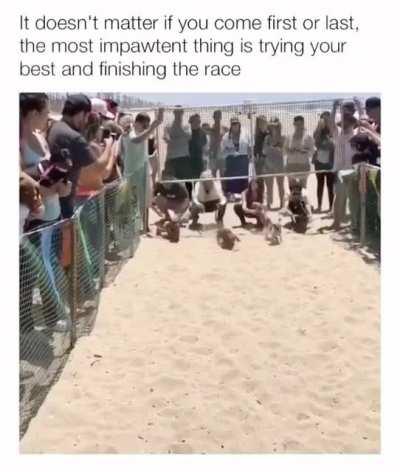 He's got a pawsitive attitude