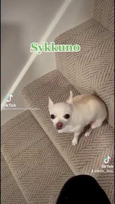 Can I get an Owa Owa...owa owa