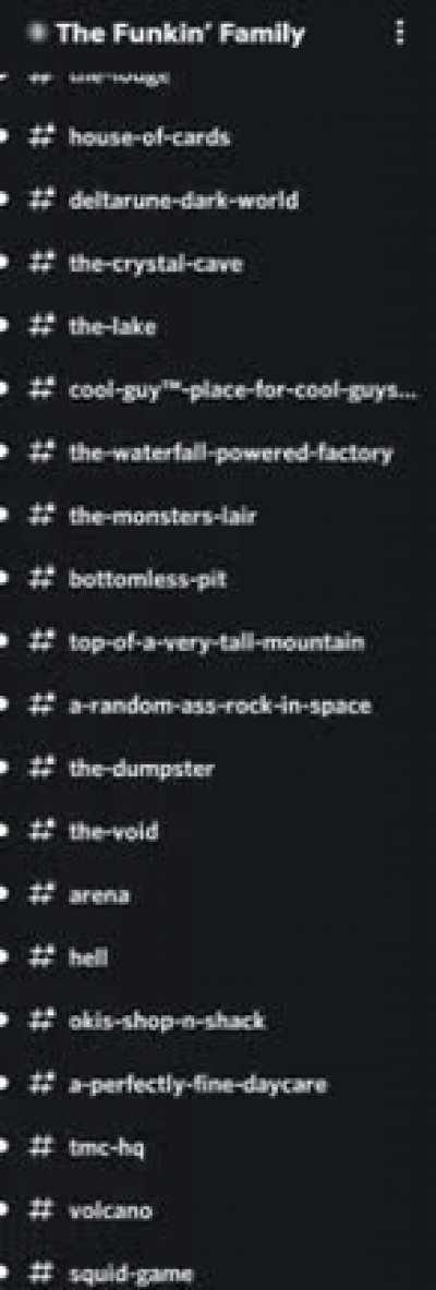 LOOK AT HOW MANY CHANNELS THIS SERVER HAS