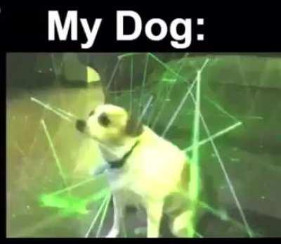 I'm back from a 7 day ban for making fun of furries in this sub. 😘