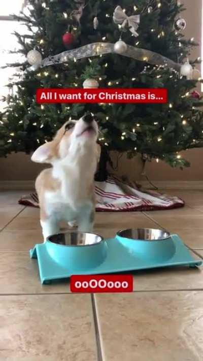 All i want for Christmas is ...