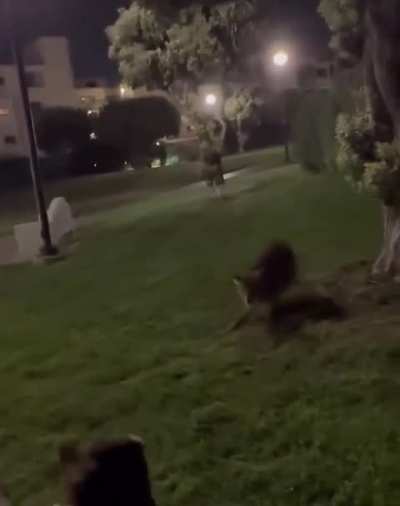 If not friend, why friend shaped