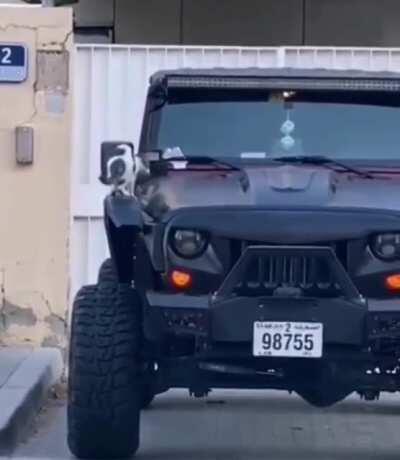 A series of startling events