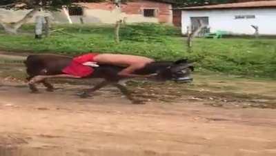 Voltando pra casa no dia 1