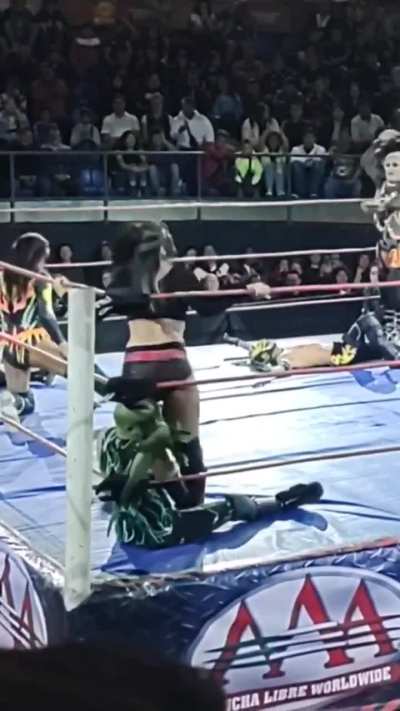 Lady Maravilla stinkface to Mr iguana 2023