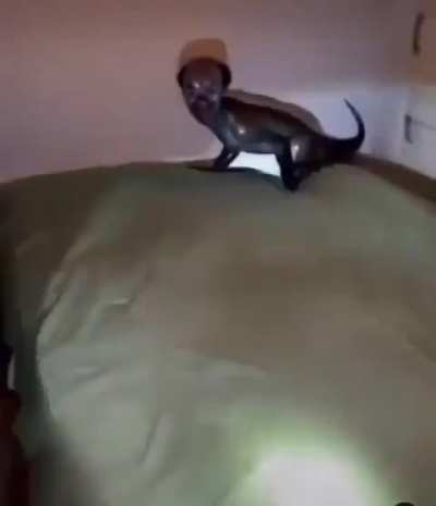 What's the origin of this video?