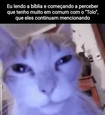 Tolo