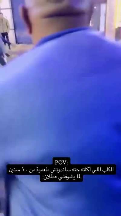 Dog got your back