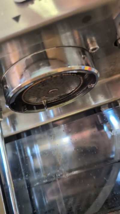 Can anyone diagnose this?