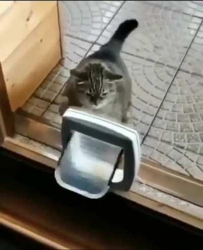 Fastest paws in the West