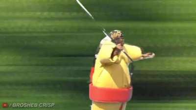 RARE FOOTAGE OF BABATUNDE VS THE CHEETAH (this took me hours pls don't let this get lost in the new)