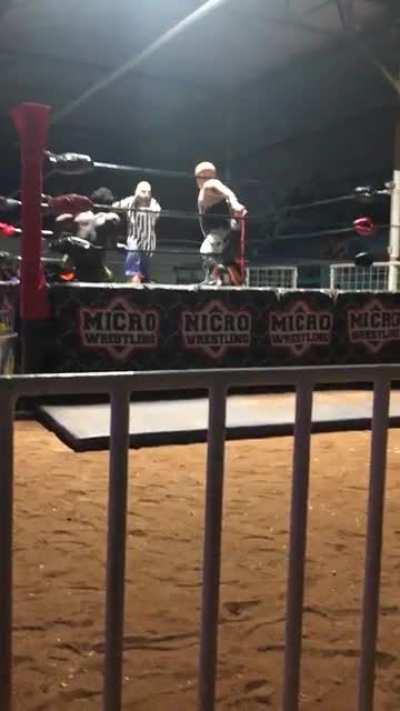 Recently went and watched micro wrestling, was not disappointed!