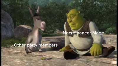 Every party ever that got a necromancy mage in it