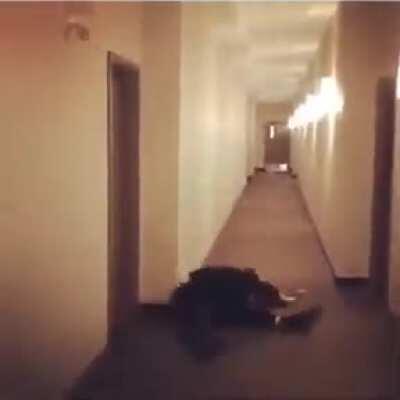 Roll for acrobatics (Nat 1)