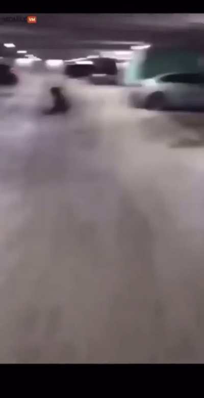 Old video of Swedish rapper getting killed (pov from the shooter)