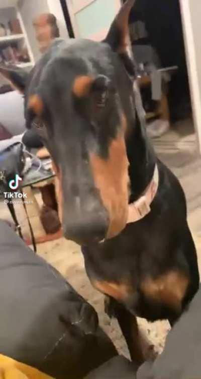 Pra que tanta violência?