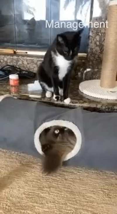 willTakeHoursUntilKnowWhereWas