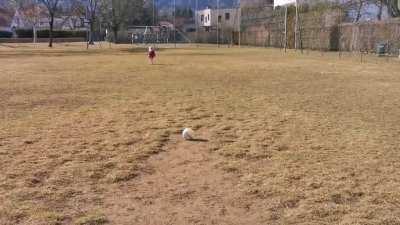 My girl does a 50 meter run-up to kick a ball
