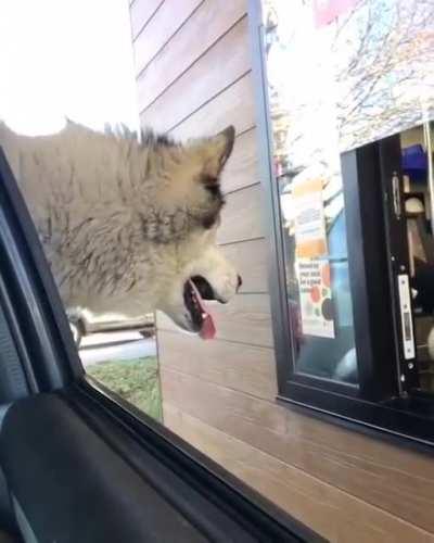 At the drive through