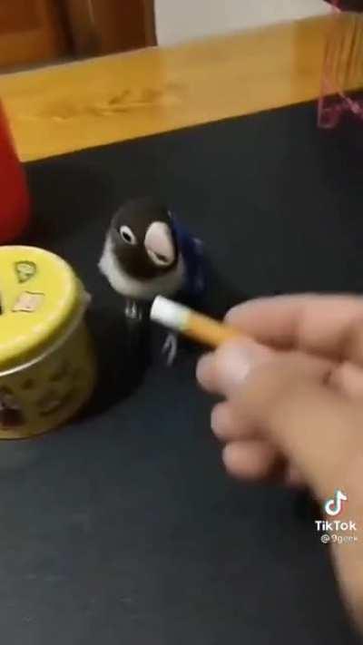 I've done the work now let me chill