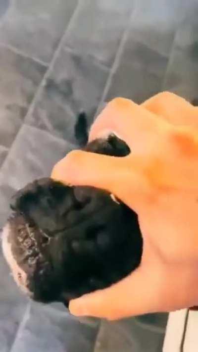 I name you the leader of the orcs