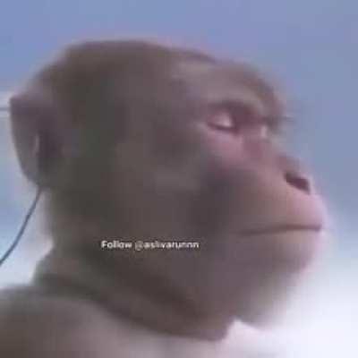 grills bio doubt ese solve krti h kya 🗿