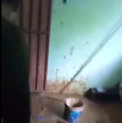 Which technique is this?