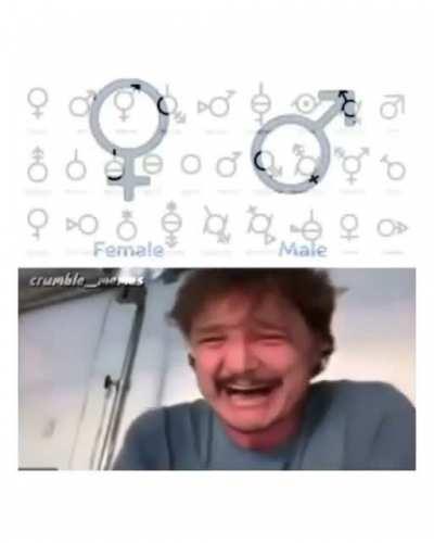 we live in a society