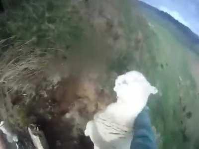 Man pulls sheep out of the abyss to stick it into a fence.