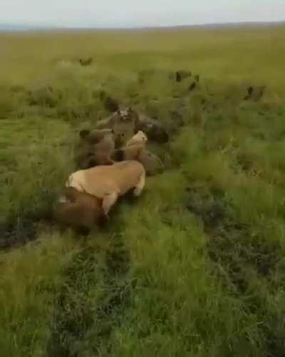 The calvary showing up just in time.