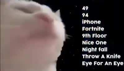 Thanks, I Hate all words