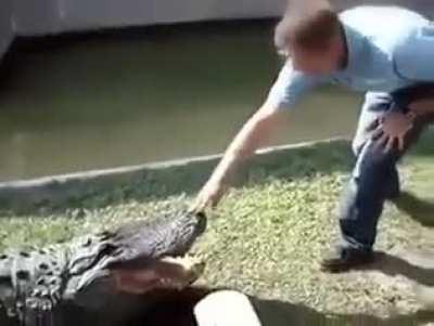 play stupid games ... 🤨🐊