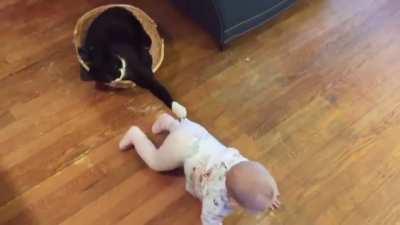 No Escape Tiny Hooman