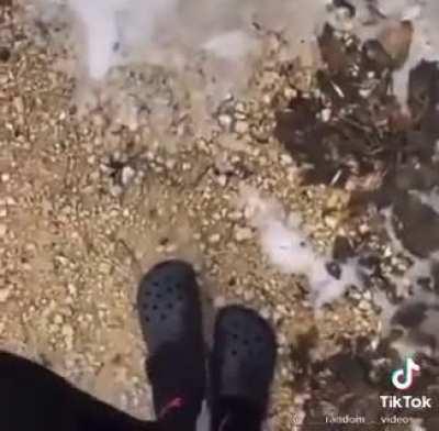 Random videos I found on my folder part 22