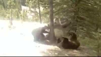 Mga viewers na kating kati sa giveaway