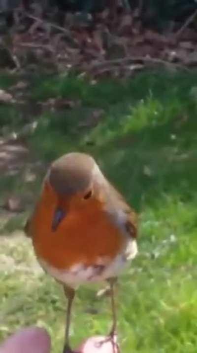 Woman lost her 4-year-old son to a brain tumor and something amazing happened when she visited his grave on the anniversary of his death..
