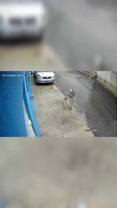 Perro madrazo pt2 en otro ángulo como en la lucha libre