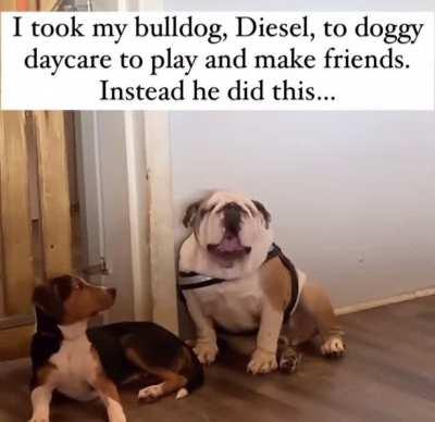 Bro is scaring the hoes