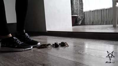 A little bit of Helga to round of the weekend.