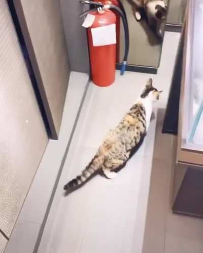 When catculations fail...