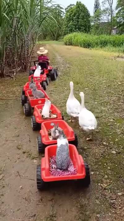 Adorable! Best farmer ever.