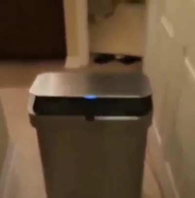 Pov:you are trash