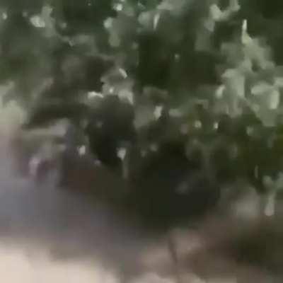 Igor has left the game! Vladimir has left the game