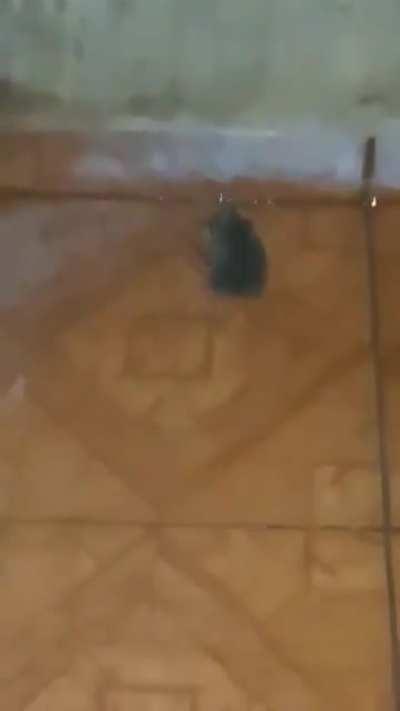 🥵facendo di morto🥵