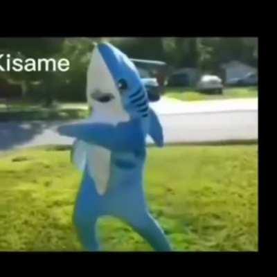 AKATSUKI NOW ASSEMBLE