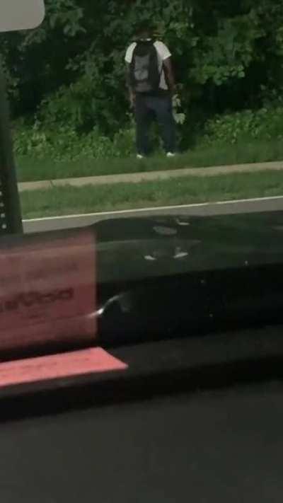 Nice trees we got here!